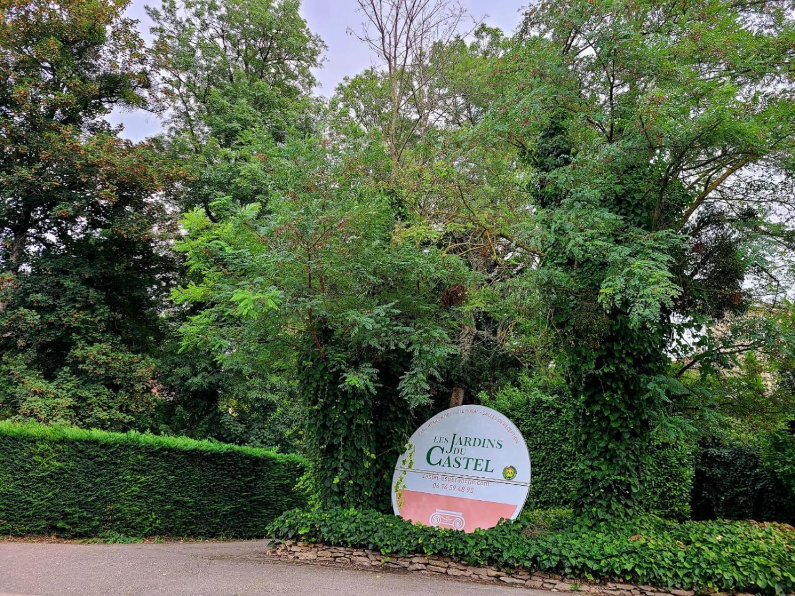Les Jardins Du Castel Gites Annick Et Jean Paul Saint-Georges-d'Esperanche Bagian luar foto